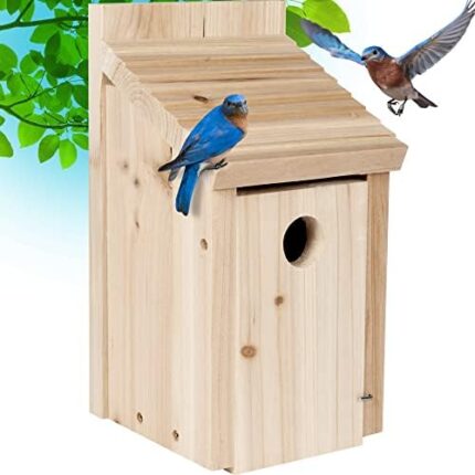 Birdhouse for outside