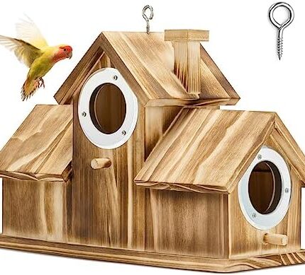 Bird house, bird houses for outside, wooden bird house, natural bird house, hanging birdhouse, garden birdhouse, backyard birdhouse, courtyard birdhouse