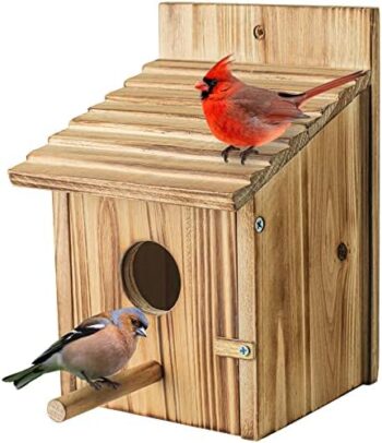 Wooden bird houses
