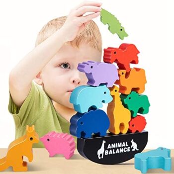 Wooden Sorting & Stacking Toy