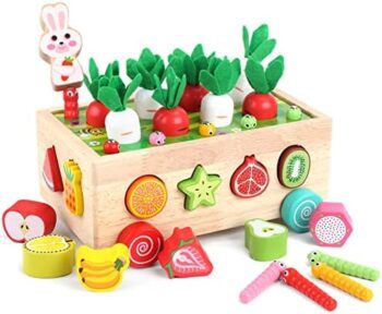 Montessori wooden educational toys