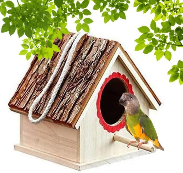 Bird house for outside clearance