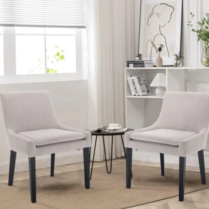 Modern Accent Chairs Set