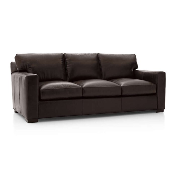 Axis Leather 3-Seat Queen Sleeper Sofa with Air Mattress