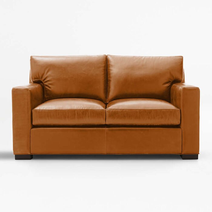 Axis Leather Loveseat