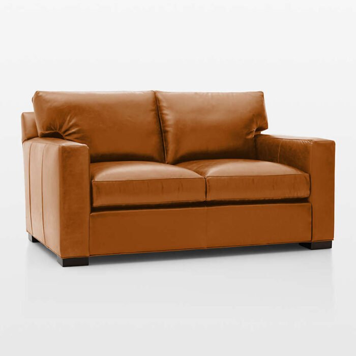 Axis Leather Loveseat