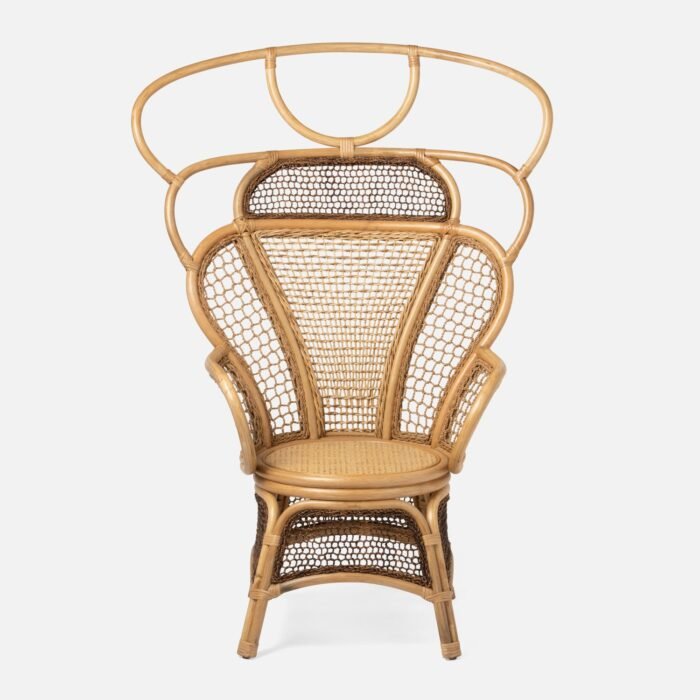 Safiya Rattan Wing Chair