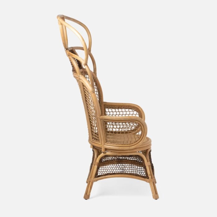 Safiya Rattan Wing Chair